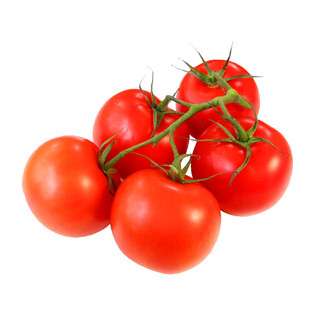 5904