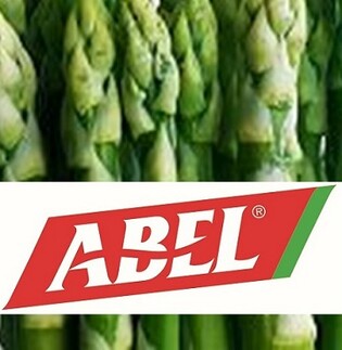 10778