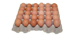 9637