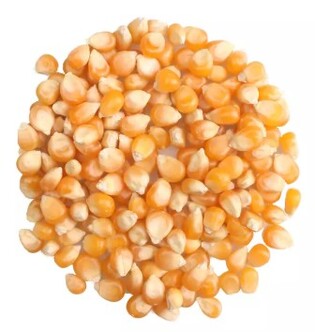 12795